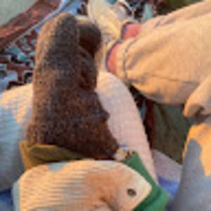 Meet your Posher, Grace demars